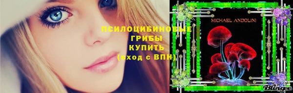 мяу мяу мука Алексеевка