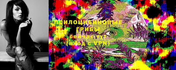 гашик Абдулино