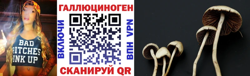 Псилоцибиновые грибы мицелий где купить наркоту Балаково